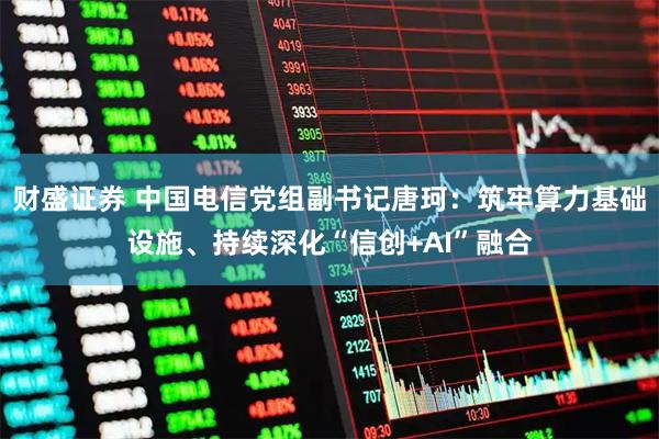 财盛证券 中国电信党组副书记唐珂：筑牢算力基础设施、持续深化“信创+AI”融合