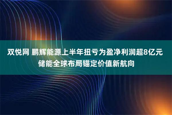 双悦网 鹏辉能源上半年扭亏为盈净利润超8亿元 储能全球布局锚定价值新航向